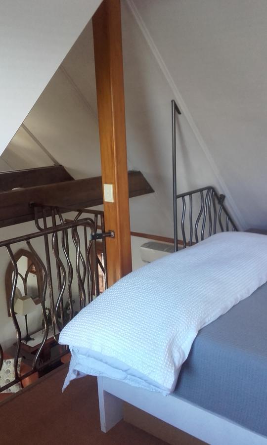 Harbour View Cottage Όκλαντ Εξωτερικό φωτογραφία
